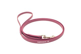 BioThane 4' Snap Lead